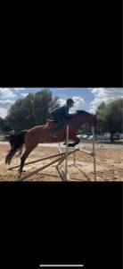 Trotteur 5 ans prometteur 