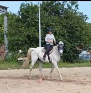 Enseignante d'équitation indépendante