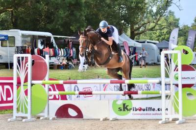 Top jument pour amateur / passage poney-cheval/dejeps