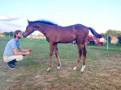 Pouliche par balou star