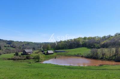 Propriété à rénover sur 60ha avec étang, proche terrasson