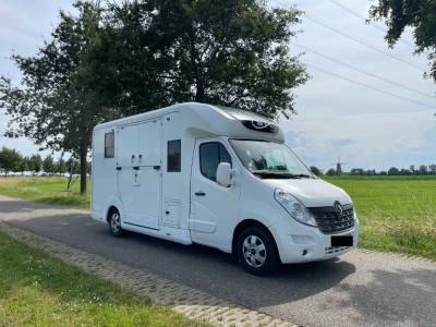 A vendre stx renault master stalles etalons sulky