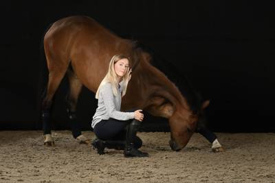 Selle français, 11 ans, dressage amateur 