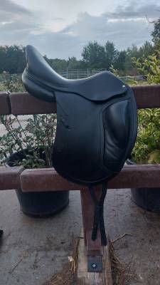 Cdw dressage se08