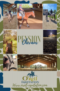 Pension chevaux - oreil équitation - 49330 les hauts d'anjou