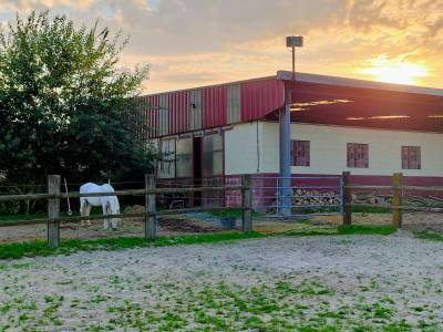 Petit centre équestre à vendre région cambrésis/péronne