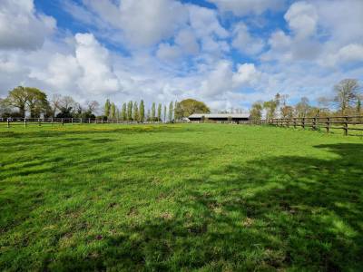 Pension chevaux - domaine de kervec