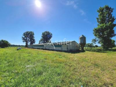 Nord de tarbes - 17 ha et bâtiments agricoles