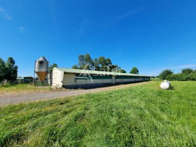 Nord de tarbes - 17 ha et bâtiments agricoles