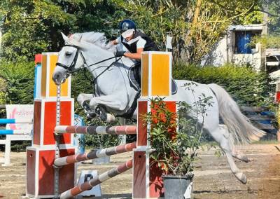 Pony da salto camargue