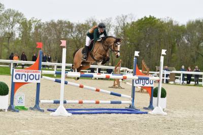 Poney d sport