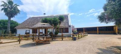 JOLIE ÉCURIE DE TOURISME ÉQUESTRE EN PETITE CAMARGUE