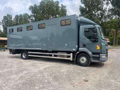 Camion chevaux daf 290chx 10 places/sellerie