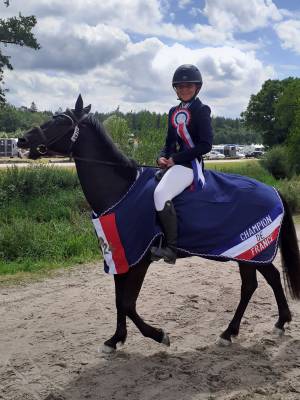 Poney de concours, 6 ans, pour p2 potentiel évolutif ++