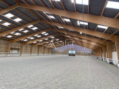 Secteur cabourg - haras d'élevage et d'entrainement