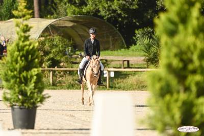 Cdi moniteur enseignant d'équitation