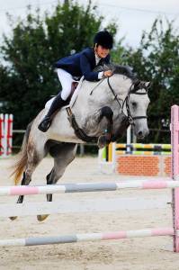 Cheval - idéal amateur pour cso