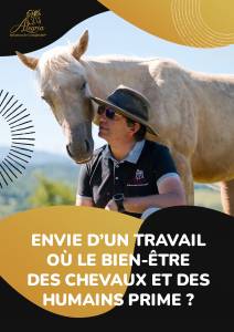 Stableman - Other contract Full time - Ariège France