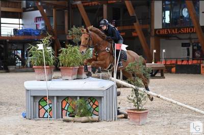 Jument cso/cce top concours