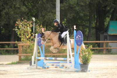 Poney de sport cso dressage 