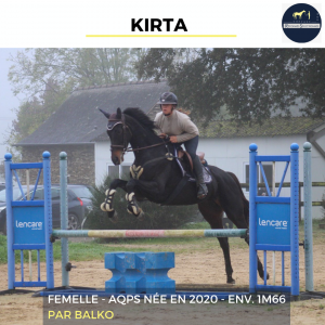 Magnifique jument - kirta - 4 ans