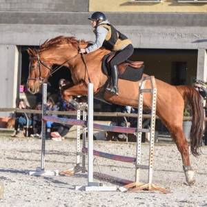 César de bremoy cheval de cso prêt sur 105