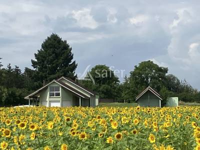 Propriété rurale de 9 ha - maison moderne de 240 m² - 3 bâti