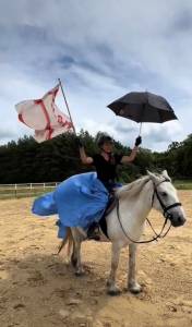 Amazing bombproof fell pony mare  for breeding /riding 