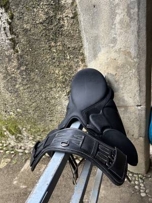 Selle wintec dressage 