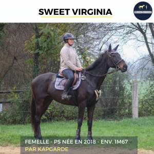 Magnifique jument - sweet virginia - 6 ans