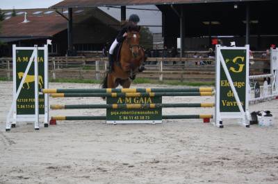 Pinette de 11 ans 1m48 loisirs ou cso p2