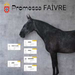 Promessa faivre psl 5ans