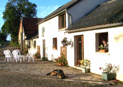 Propriete equestre - boxes - manege carriere - prairie