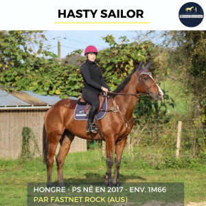 Magnifique hongre - hasty sailor - 7 ans 