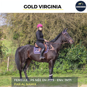 Magnifique jument - gold virginia - 5 ans