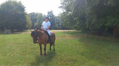 Cheval du Vercors de Barraquand hongre 8 ans 