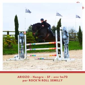 Ariozo sf env 1m70 par rock'n roll semilly