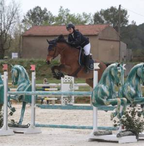 Gentil cheval de cso de 11 ans pour amateur