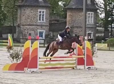 Jument sf 3 ans