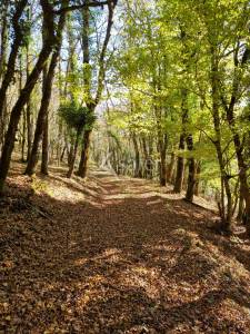 Demeure de caractère en pleine nature sur 67 ha d'un seul tenan