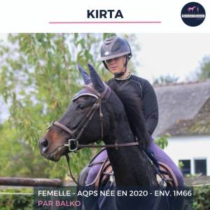 Magnifique jument - kirta - 4 ans