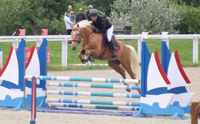 Pfs 4 ans palomino