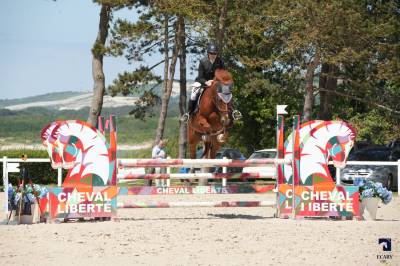 Cheval hongre sf 7 ans par hélios de la cour 