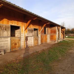 Pension chevaux