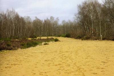 Ballades en bord de saone 