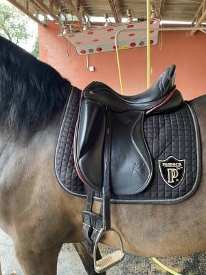 Selle dressage zaldi 