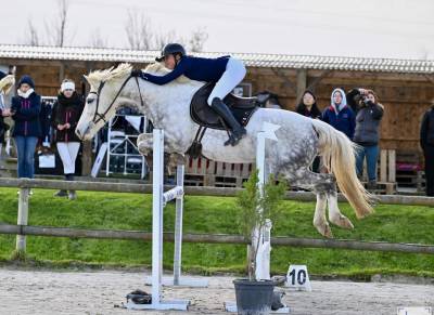 Jument d'avenir 6 ans - gros potentiel cso/cce 2*3*