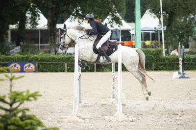 Av poney de sport