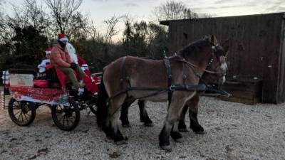 Paire d'ardennais