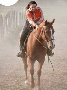 Cheval hongre appaloosa